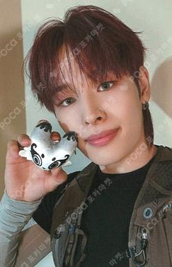 NALLINA HOOD ZIP-UP HARU photocard image