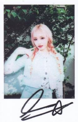 PowerCircles LIZ photocard image