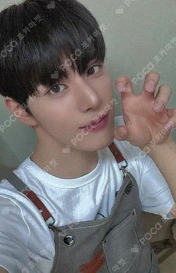 HOUSE OF TRICKY : SPUR fromm store JINSIK photocard image