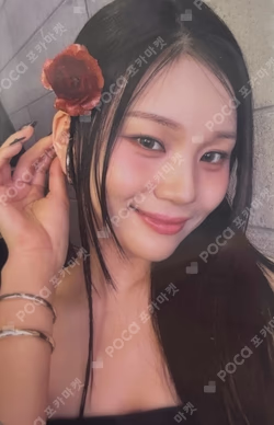 A Montage of ( ) VIVID ver.