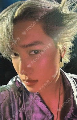 2025 KAI SOLO CONCERT TOUR [KAION] NINI BEAR CUSHION SET