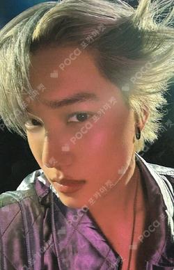 2025 KAI SOLO CONCERT TOUR [KAION] NINI BEAR CUSHION SET KAI photocard image