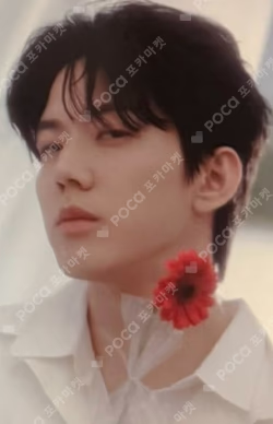 DAY6 4TH FANMEETING [PIER 10: All My Days] TRADING CARD