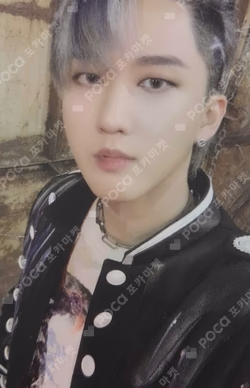 IN生 STANDARD VER. CHANGBIN photocard image