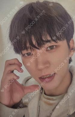 Tree Ring Tree ver. NamWooHyun photocard image