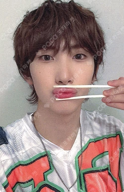 HOUSE OF TRICKY : SPUR INTERASIA