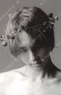 Unfading Sense YPBOOKS YESUNG photocard image