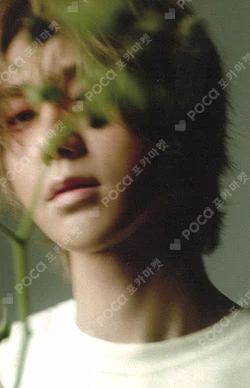 Unfading Sense YPBOOKS YESUNG photocard image