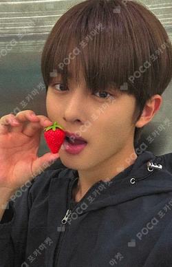 빛 : BIT Part.2 EVERLINE WOONO photocard image