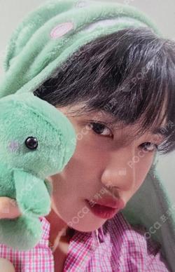 THE BOYZ NEW 的小卡图片
