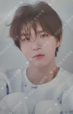 Steady ACRYLIC SHAKER KEYRING JAEHEE photocard image