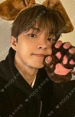 a;effect EVERLINE LUCKY DRAW Q photocard image