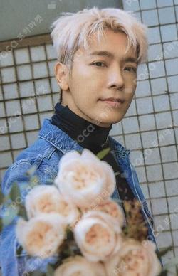 BEAUTIFUL DAYS : LEEDONG HAE DONGHAE photocard image