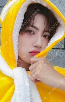 Dare to Crave MUVVE WONJIN photocard image