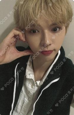 ONE QUESTION Release Event BRIAN photocard image