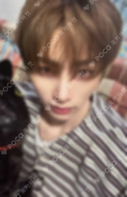 TAESAN's Double The Fun Party PHOTOCARD SET