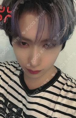 5x EVERLINE XION photocard image