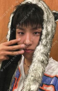 Cool & Hot APPLEMUSIC PARK WOO JIN photocard image