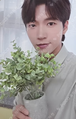 2025 NAM WOO HYUN CONCERT [식목일5 - 나무高 : TREE HIGH SCHOOL] TRADING PHOTOCARD