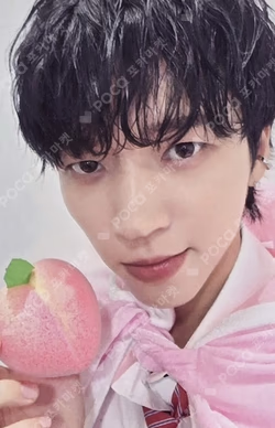 Tree Ring APPLEMUSIC CAFE EVENT