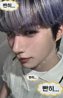 5x EVERLINE XION photocard image