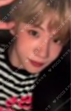 Snowy Summer Blue Dream Media