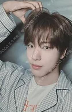 Snowy Summer POP-UP STORE RANDOM TRADING CARD Seung Ho Song photocard image