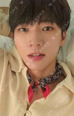 Tree Ring Tree ver. NamWooHyun photocard image