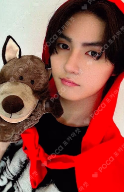 WILD&FREE EVERLINE SEUNGMO photocard image