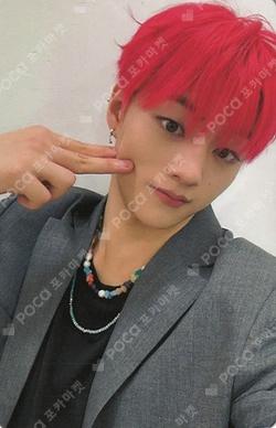 FLEX LINE DAILY DUCK