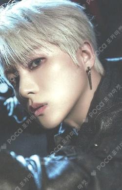 207 OBEY Ver. JAY photocard image
