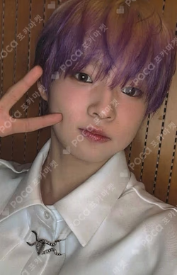 FLEX LINE TOWER RECORDS SHINYECHAN photocard image