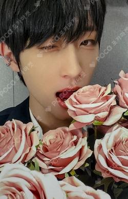 SEVEN SINS DEAR MY MUSE KIMMINSEO photocard image