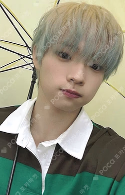 FLEX LINE DEAR MY MUSE SHINYECHAN photocard image