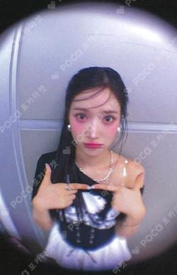 Lovestruck DEAR MY MUSE SEOI photocard image
