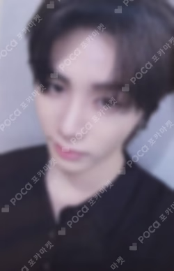 Lollapalooza LIVE WEVERSE