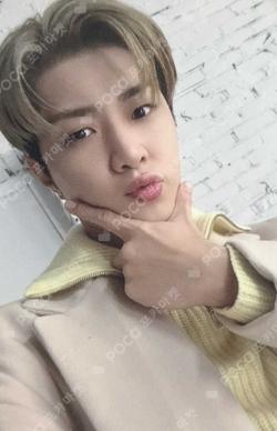 Storage of ONF Platform ver. WYATT photocard image