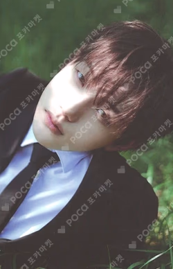 Snowy Summer ID Card Ver. POCAALBUM Ver.