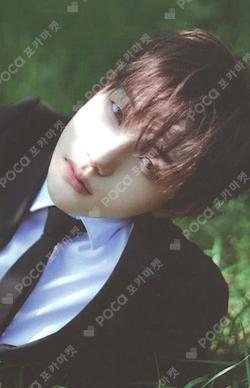 Snowy Summer ID Card Ver. POCAALBUM Ver. Kyoung Bae Seo photocard image