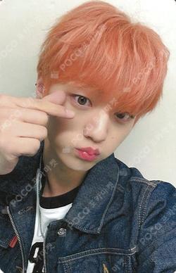 FLEX LINE DEAR MY MUSE CHOIWOOJIN photocard image