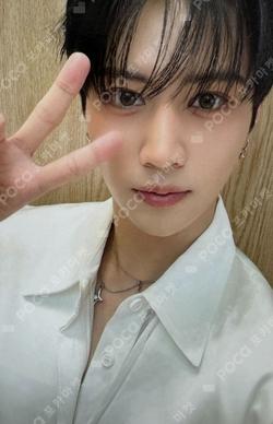 Butterfly SOUND WAVE Ian photocard image