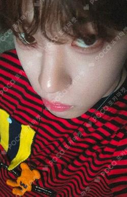 Snowy Summer FANPLEE Seung Ho Song photocard image