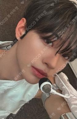 Snowy Summer BROADCAST