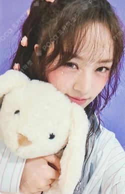 THE STAR HANA photocard image