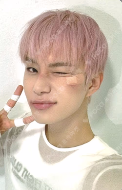 2025 SEASON'S GREETINGS PHOTO PACK