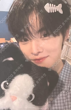 Snowy Summer Hellolive shop