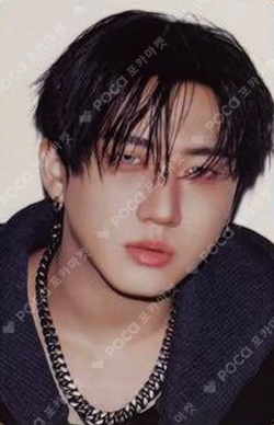 Changbin KARMA SKZOO SET