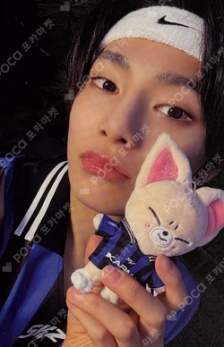 I.N SKZOO POB