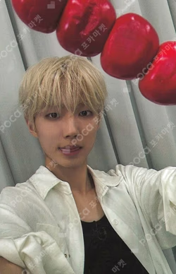 LEGGO PHOTO CARD RANDOM PACK