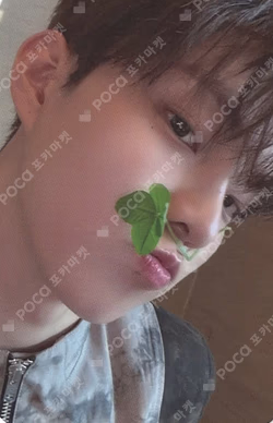 THE BOYZ [THE BLAZE] WORLD TOUR in SEOUL KEYCAP KEYRING Q photocard image